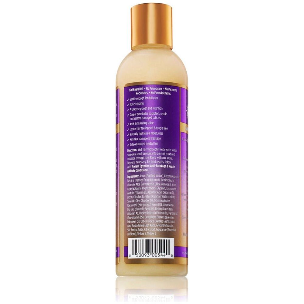 The Mane Choice Ancient Egyptian Anti-Breakage & Repair Antidote Conditioner 8oz - Beauty Exchange Beauty Supply